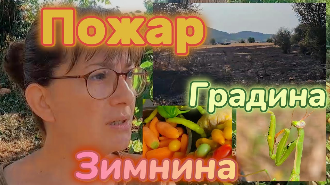 Далеч от града. Борба с огъня; Работа из градината; Зимнина; Замразени зеленчуци; Македонска салата.