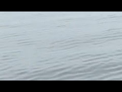 cinematic short of Kans Kila, Kans Qila ✨️✨️✨️