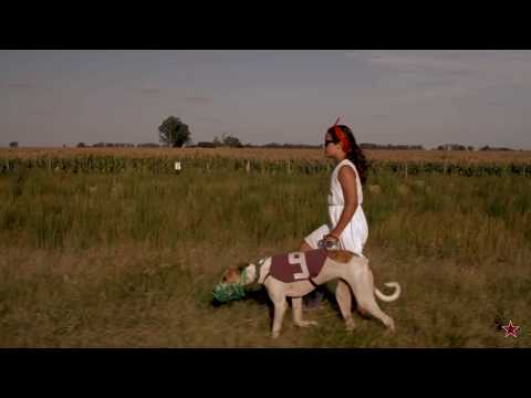 El Mató A Un Policía Motorizado - El Magnetismo (Official Music Video)