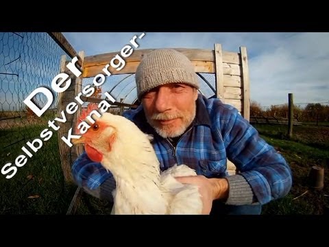 Chicken tractor advantages and disadvantages