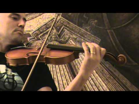 Karl Herrmann violin # 489