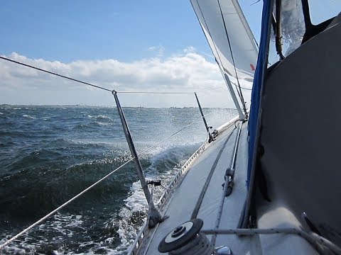 Segeltörn Ijsselmeer 2019 mit Bavaria 36 Cruiser