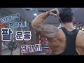 단기간에 팔이 굵어지는 꿀팁 ! 팔운동 3가지