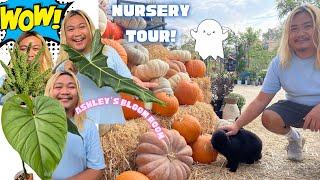 Huge Deals Huge Plants Rare Aroids Let’s Go!