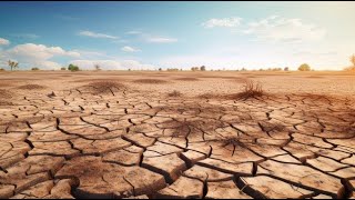 Four Things You Should Know About Land Degradation