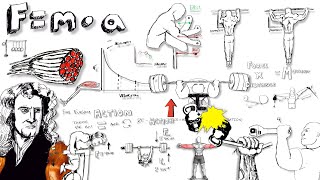 The Physics of Lifting Weights