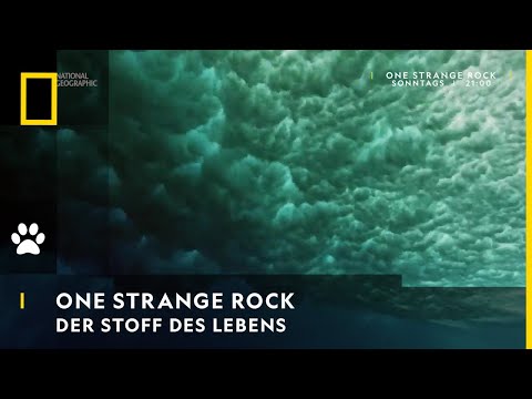 ONE STRANGE ROCK - Der Stoff des Lebens | National Geographic