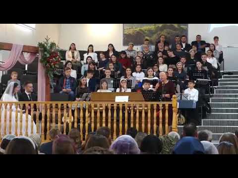 Georgeta Vorosan ~ Poezie “Rebeca"