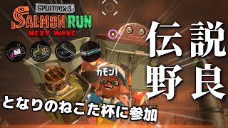 21時から「となりのねこた杯」に参加します！満ドロ求む【スプラトゥーン3/サーモンランNEXTWAVE】