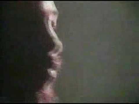 toots and the maytals-reggae got soul