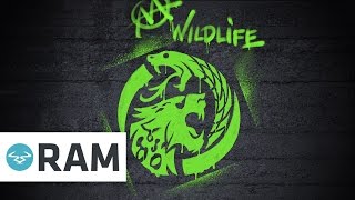 June Miller &amp; Teddy Killer - Wildlife (CVPELLA Remix)