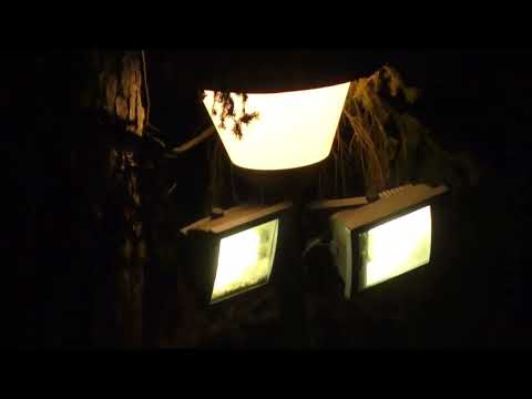 tällänen mikki testi