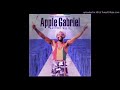 APPLE GABRIEL POWER