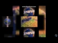 Ytpmv Bad Universal Logo Scan