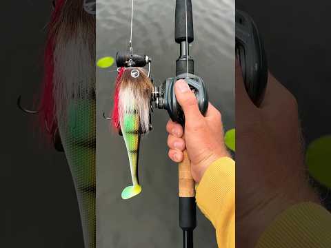 Die perfekte Baitcaster-Kombo 🎣🔥 Power, Style & Action! #angeln #fishing #reels #hechtgeflüster