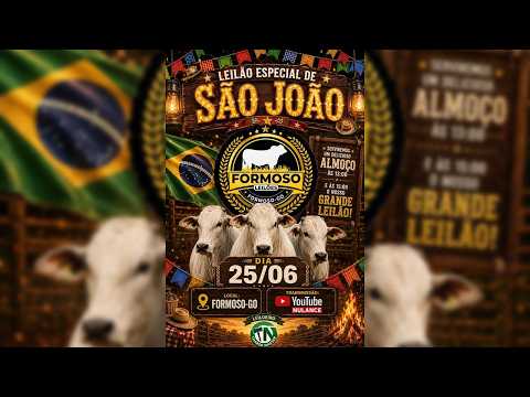 LEILÃO GADO DE CORTE FORMOSO LEILÕES - FORMOSO - GO - 25/06/2026