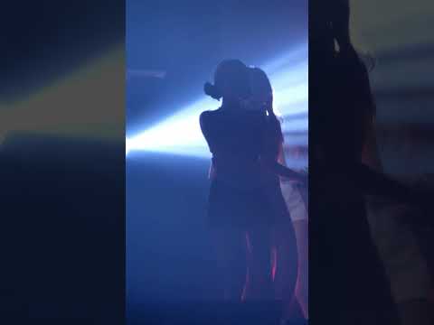 20230408 Castella Neko Kaburi Koi Fancam Focus