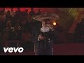 Vicente Fernández - Bésame Mucho (En Vivo)