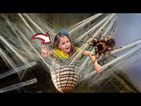My little sister fell into the web of the giant fake spider!