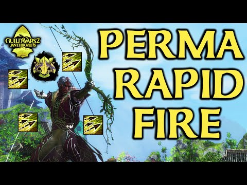 The UNTAMED ARCHER - Most Fun Ranger Build for Guild Wars 2 Open World PvE