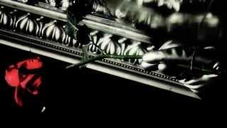 Vídeo sobre o produto