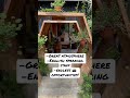 Best Cafe In Da Lat Vietnam Vietnam Việtnam Dalat Travel Coffeeaddict Café Cafe