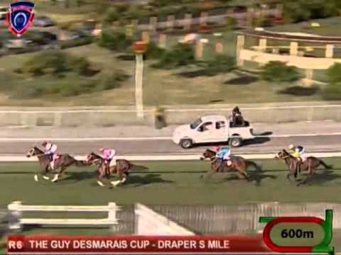 azapel - noel callow (10th meeting 2014)