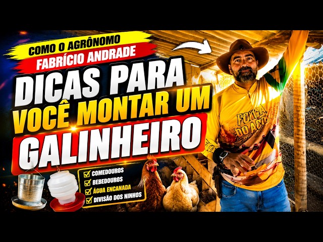 Dicas para você montar um galinheiro.