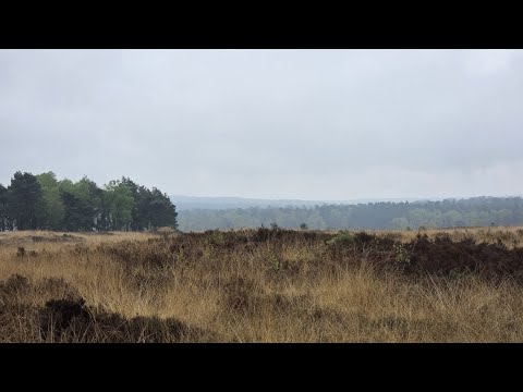 Trailrun Loenermark -2