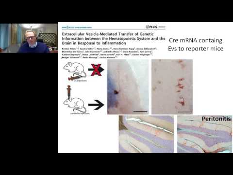 Diversity Of Extracellular Vesicles And Their Cargo In Cell To Cell