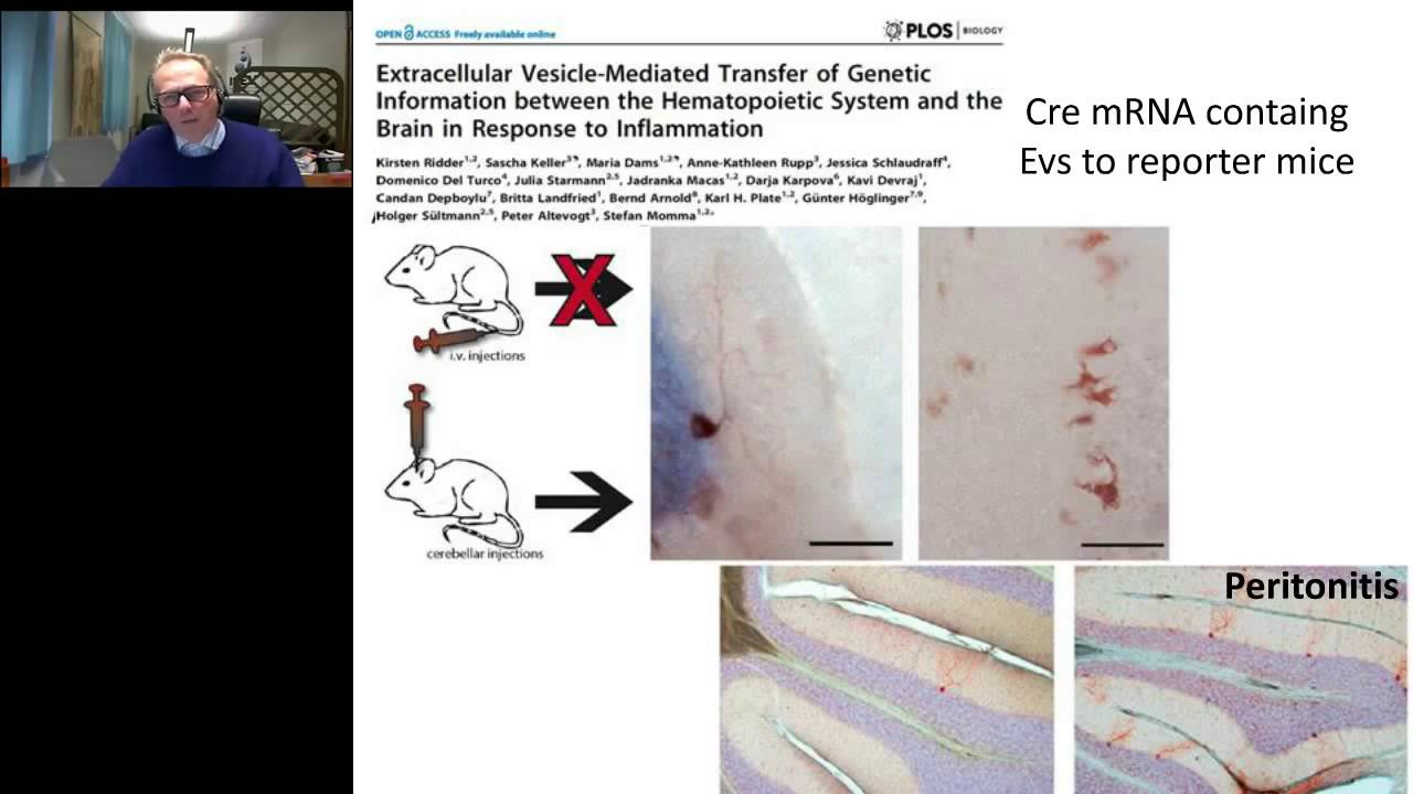 Jan Olof Lötvall - Diversity of extracellular vesicles and their cargo in cell to cell communication