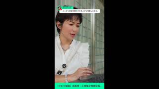 【縦】【ひとり解説】自民党・小林鷙之政調会長会見　食料品消費税２年、実質ゼロ　今後の対応は？ 📱