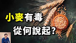 人類最離不開的食物之一，卻被批判為健康殺手！現代小麥的基因從何而來？麩質蛋白的真相……【老肉雜談】#生物 #小麥 #植物 #食物 #農作物