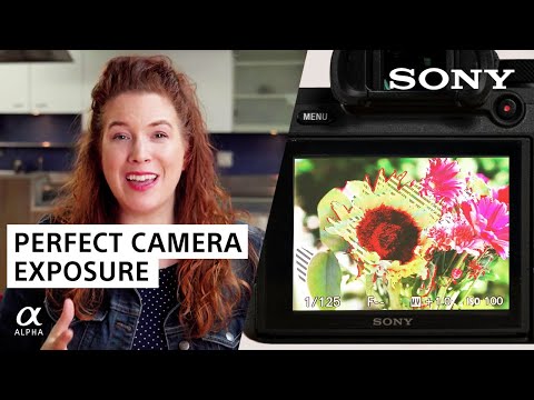 Perfect Camera Exposure with Zebra Stripes | Sony Alpha Universe