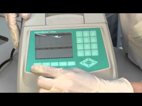 Setting up the PCR reaction