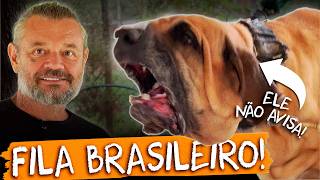 Brazilian Mastiff: The Guard Dog That Doesn't Warn!