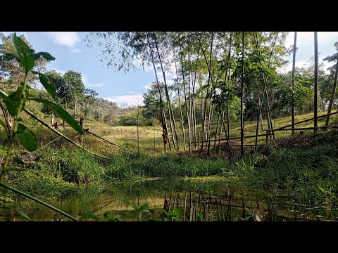 Lote con agua en venta en Nocaima, Cundinamarca 