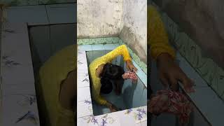 Download lagu bersih bersih di rumah ibu #viralvideo #adayinmylifekeseharianiburumahtanggadikampung mp3