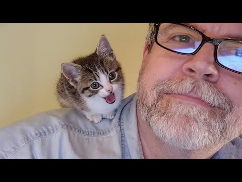 When Your Cat Insists On Loving Grandparent - Cute Cats and Humans Video