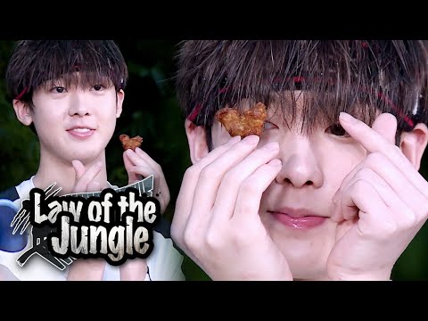 download law of the jungle ep 256 download law of the jungle ep 256