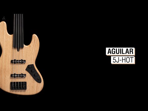 Aguilar 5J-Hot - Maruszczyk Elwood 5p Fretless 34"