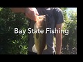 Welcome to Bay State Fishing!