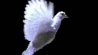 Deepswing Feat.Chance  -  Freedom