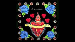 The New Amsterdams - Stay on the phone