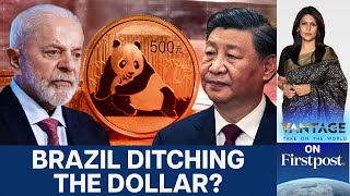 パンダ債解説：ブラジルが中国人民元を採用する理由 | Vantage with Palki Sharma | N18G