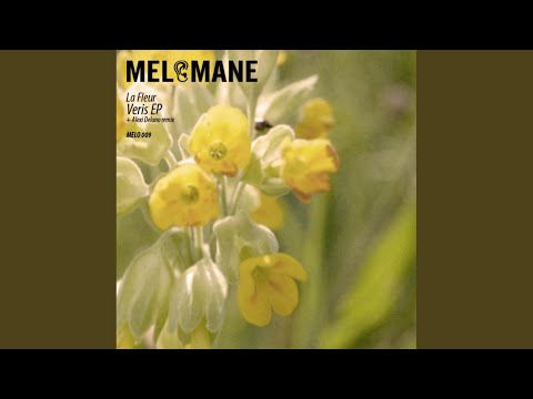 Veris (Alexi Delano Remix)