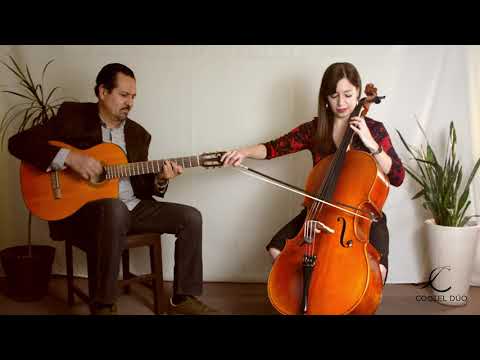 Coctel Dúo - Cello & Guitar / Petite Fleur (Cover)