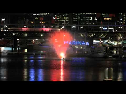 Darling Harbour Whale Sighting