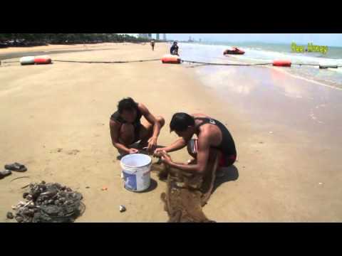 100 секунд 22 Дары моря Seafood