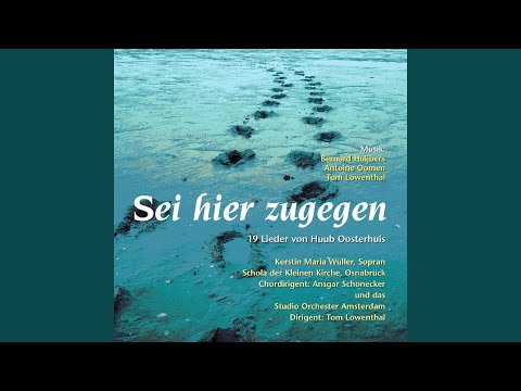 Dich gesucht bei Tag (Kehr dein Herz. Ein Lied bei Psalm: 88)